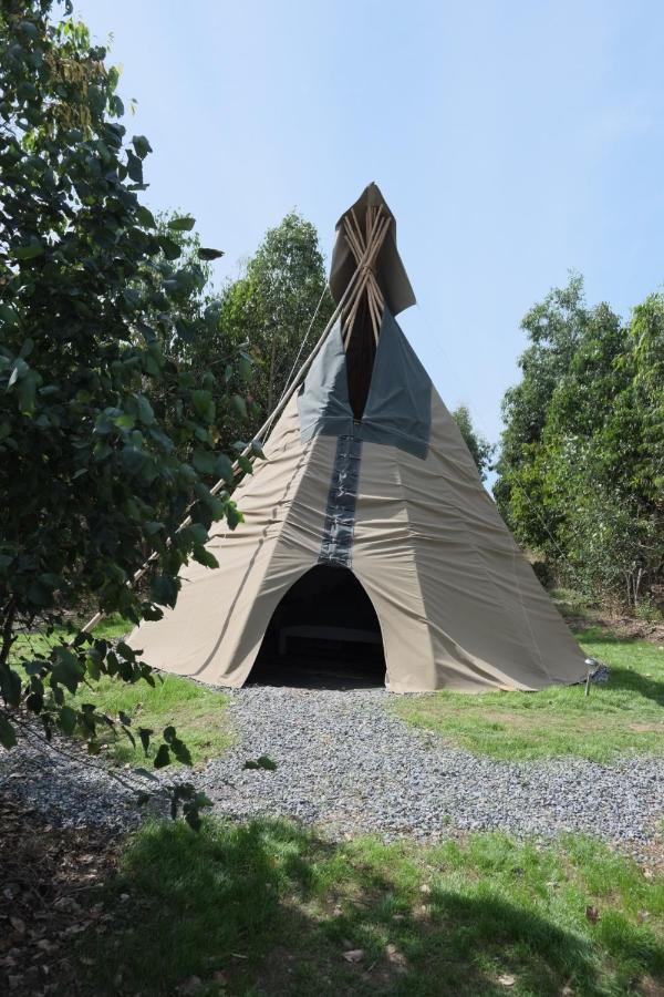 מלון Bickington Gumtree Tipis מראה חיצוני תמונה